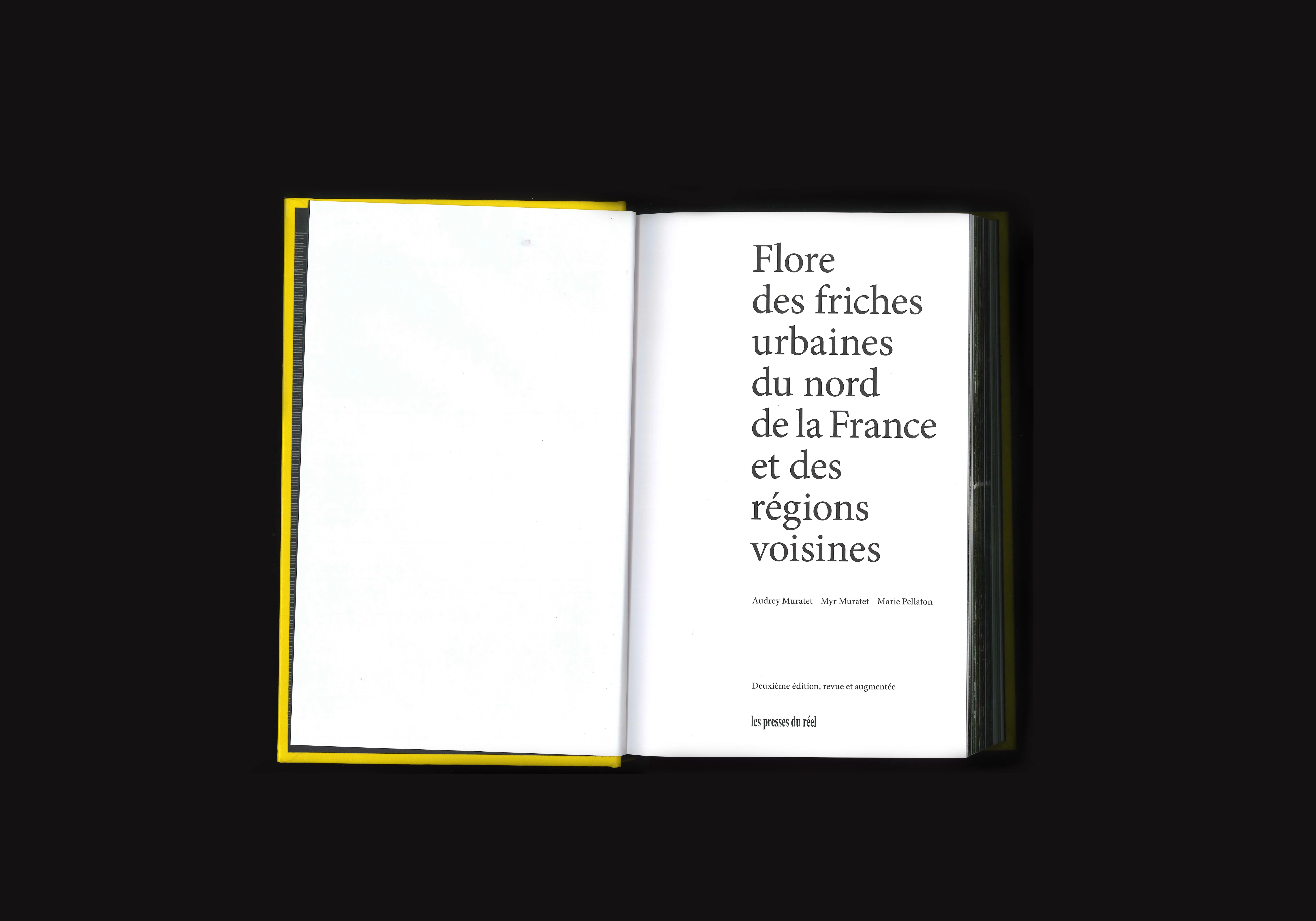 Flore des Friches Urbaines, image 1